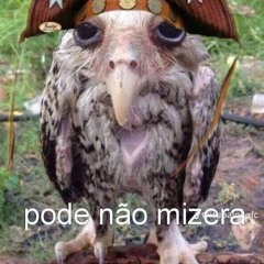Bobi_brasileiro