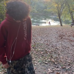 braydvn