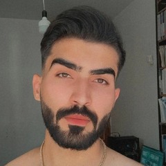 amirhossein msv