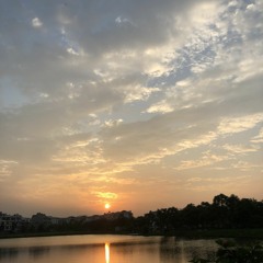 quynh543