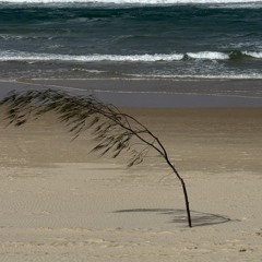 White Sands