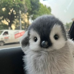 Faded Penguin