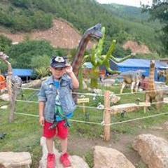 Tandin Palden Dorjee Palden