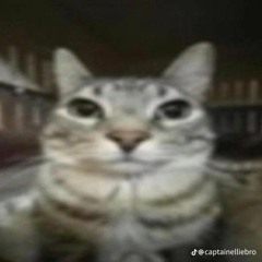 Никого нету
