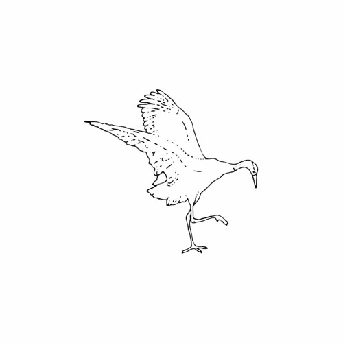 birdbay’s avatar