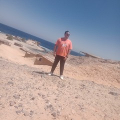 ibrahem elnagar