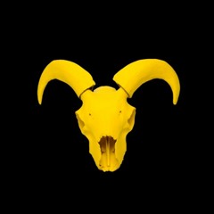 theweirdandthewonderful