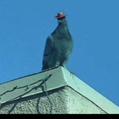 ✷Straight Cheese✷