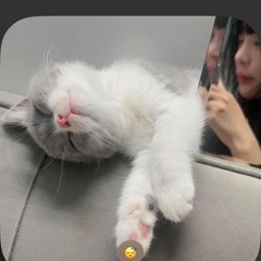 ken iu su