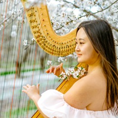 seikaharp