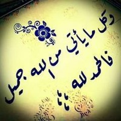 Mahmoud Shawky