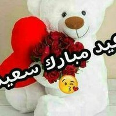 Mohammed Allam