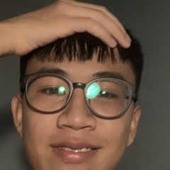 Nguyễn Huy Hoàng Anh