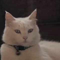 ปรวรรตณ์ จันทร์แรม