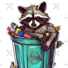Trash Panda Dubz