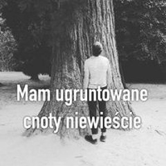 Maciej Nowicki