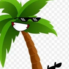 CooooolPalmTree