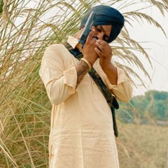 Sidhu fan