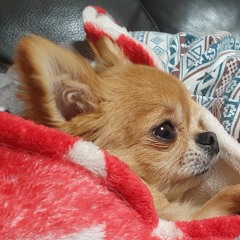 이현주