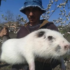 KIKO LAXIUM