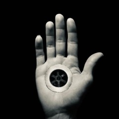 RADICAL PALM RECORDS