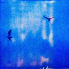 teens shooting handguns