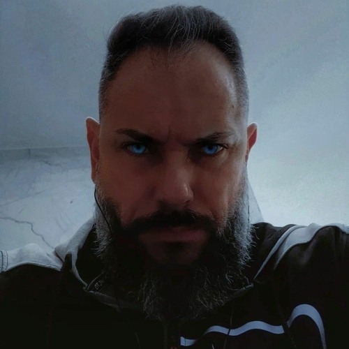 Sandro Viegas’s avatar