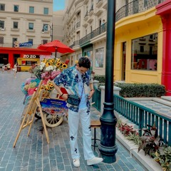 Lợi Pro