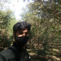 ravi sharma