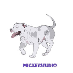 Mr.C (214)/MickeyStudio