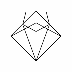 ESN