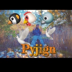 pyjignboy