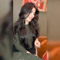 Rewan Shabour