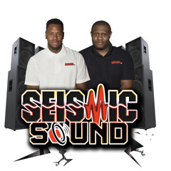 Seismic_Sound_Intl