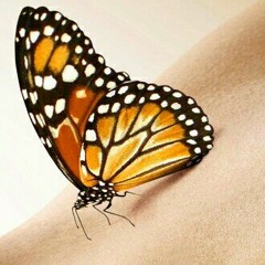 Wonderful Relaxing Music For Meditation ( Chill out Lounge Ambiental Mix )