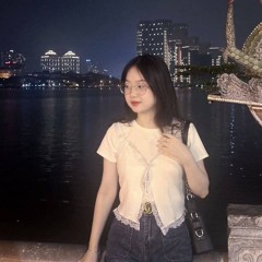 Việt Hạ Media