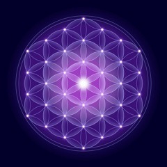 DIVINE_SOUL