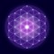 DIVINE_SOUL
