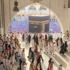 محمود درويش