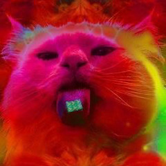 robby