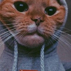 Ivan7
