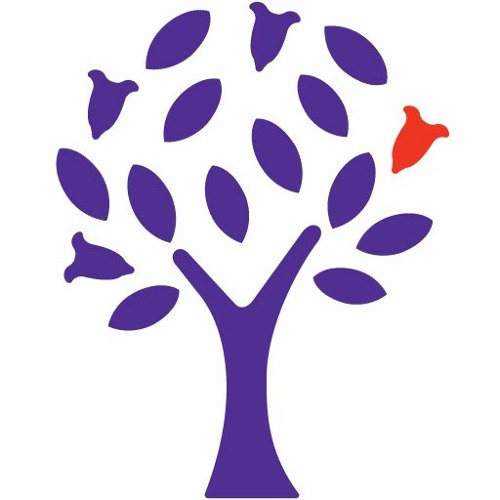 Stream Episode Spanish Classes In Cuenca 12 What Else Can Someone Do To Help Learn Spanish Whilst In Cuenca By Yapatree Podcast Listen Online For Free On Soundcloud