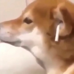 ร ๓г. β г υ н ร