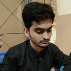 Malik Mohsin Awan