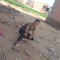 Fares Naser