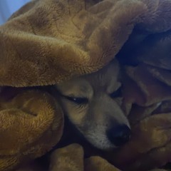 stigma in this world