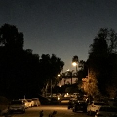 infrequently asked questions: