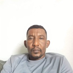 ابراهيم عبد الباقي محمد شيخ