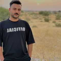 mojtaba mansoorzadeh