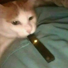 ziomson_jd